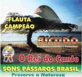 Cd O Canto Do Bicudo Flauta Campeão. Original Frete Grátis!!