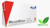 Meloxiworld 2mg Antinflamatório Cães Gatos Meloxicam 10 Comprimidos