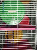Gaiola Hamster 2 Andares Completíssima Pintura Epóx Colorida