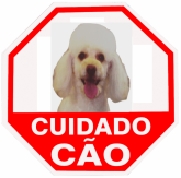 Placa De Advertência Cão Poodle. Fixação Obrigatória Por Lei
