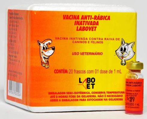 Vacina Antirábica para cães e gatos