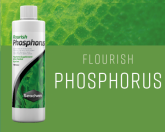 Seachem Flourish Phosphorus 500ml. Fertilizante Aquarios Plantados