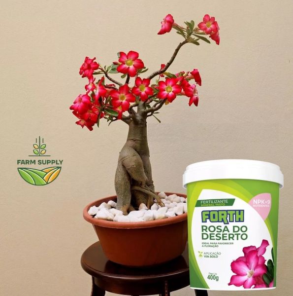 Adubo Forth Rosa do Deserto. Fertilizante Mineral Misto