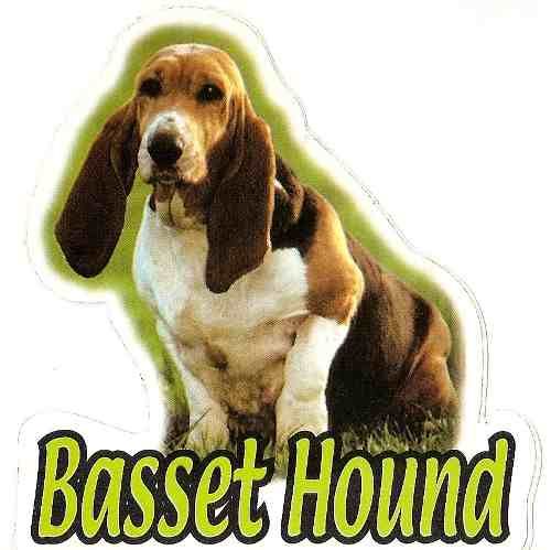 Adesivo Cão Basset Hound. Frete Grátis P/ Todo O Brasil!